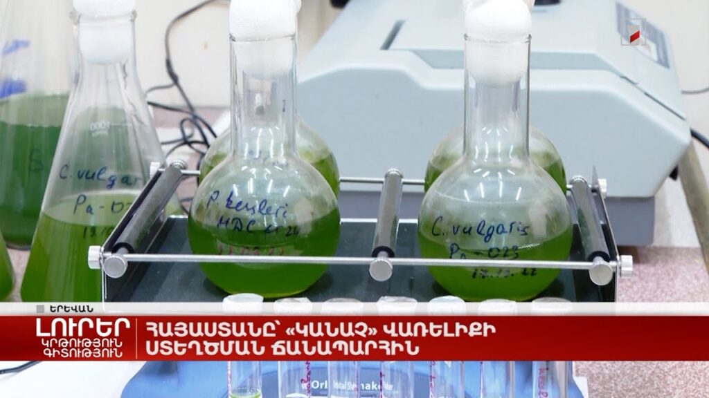 Ինչպես է մեր զինվորների արյան վրա վառելիքի բիզնեսը իրականացվում